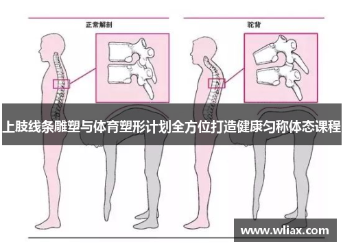 上肢线条雕塑与体育塑形计划全方位打造健康匀称体态课程